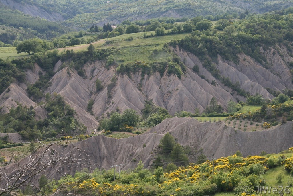 Colline ravinée de marne bleue