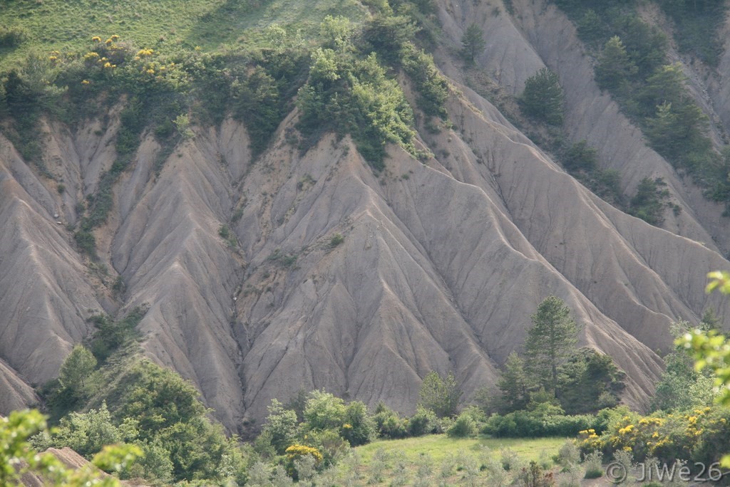 Colline ravinée de marne bleue