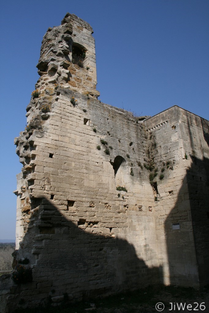 Les ruines de la chapelle castrale