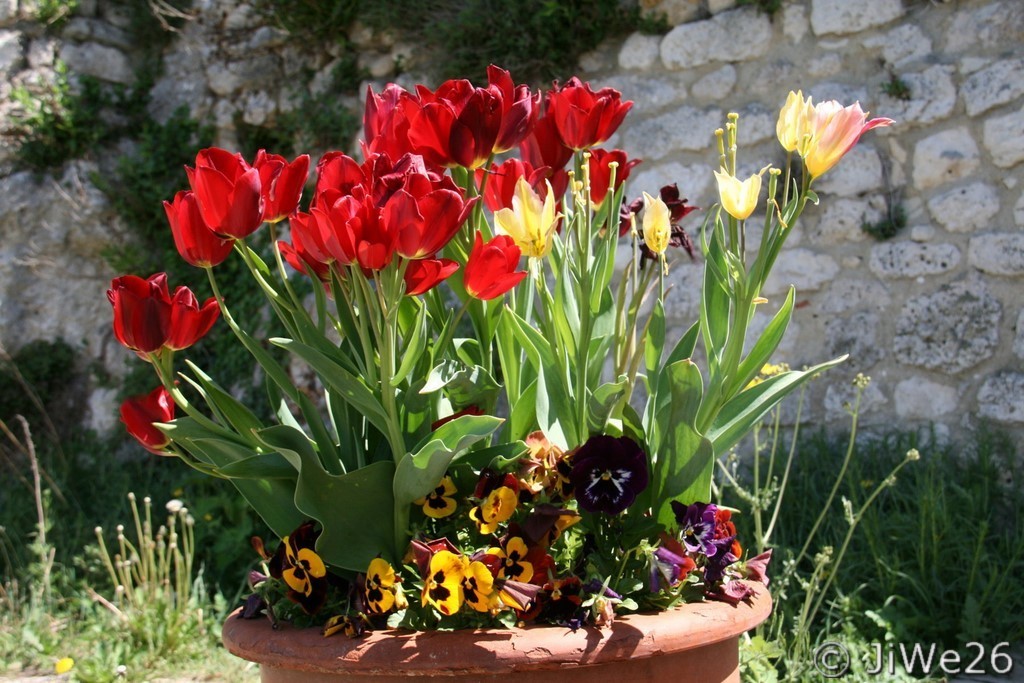 Une coupe joliment décorée de fleurs aux couleurs printanières