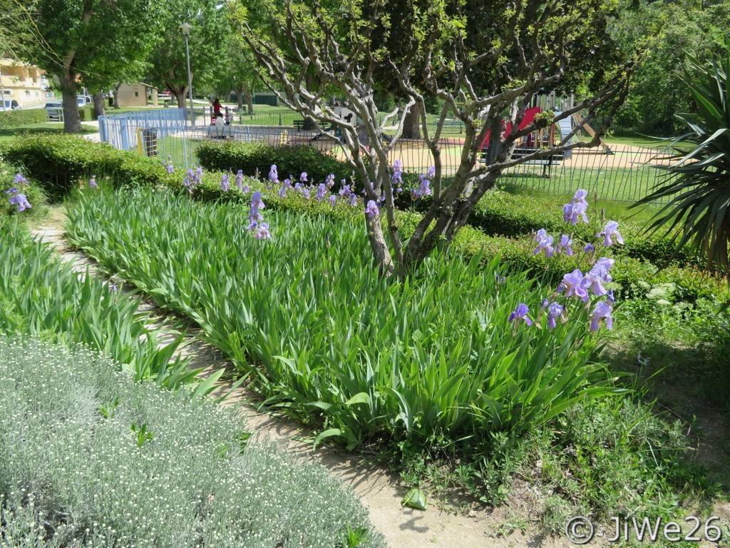 Le Jardin des Arômes à Nyons