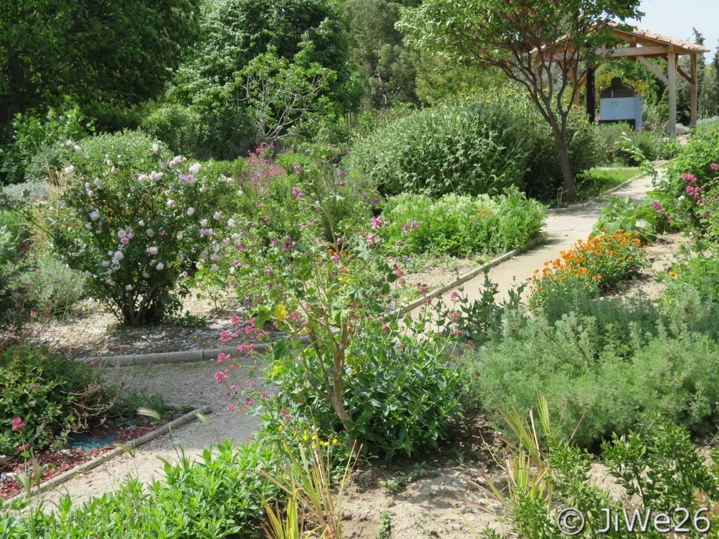 Le Jardin des Arômes à Nyons