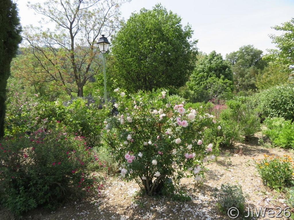 Le Jardin des Arômes à Nyons