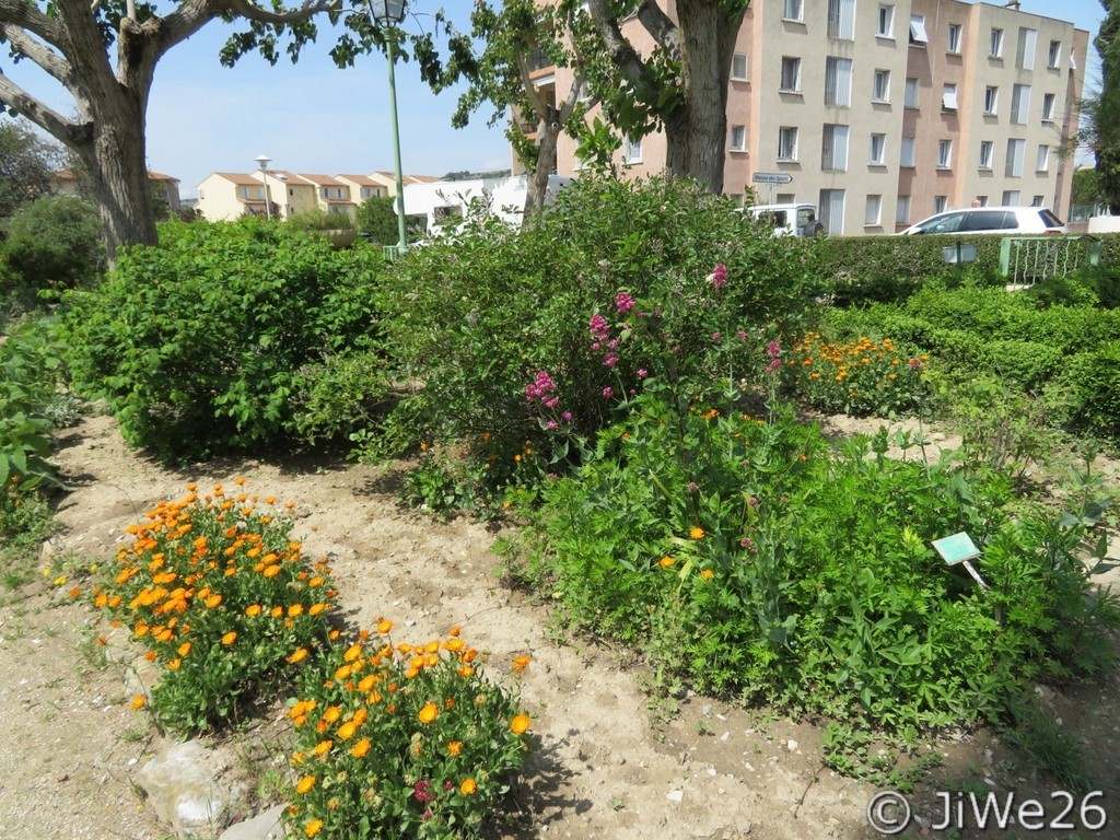 Le Jardin des Arômes à Nyons