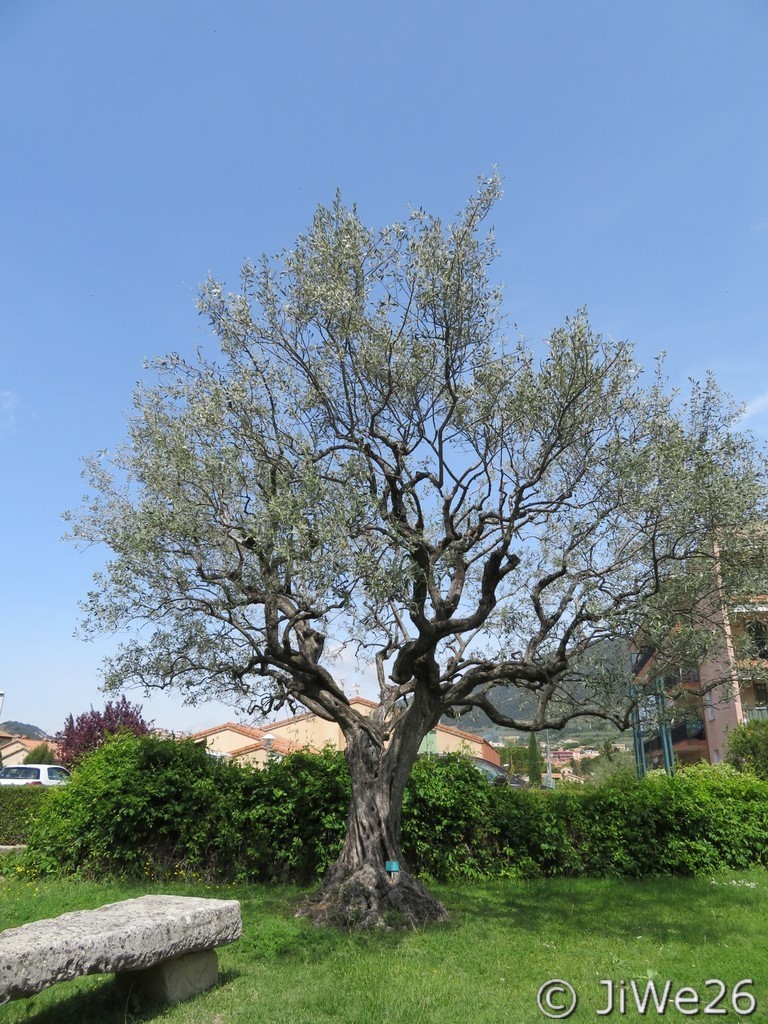 Le Jardin des Arômes à Nyons