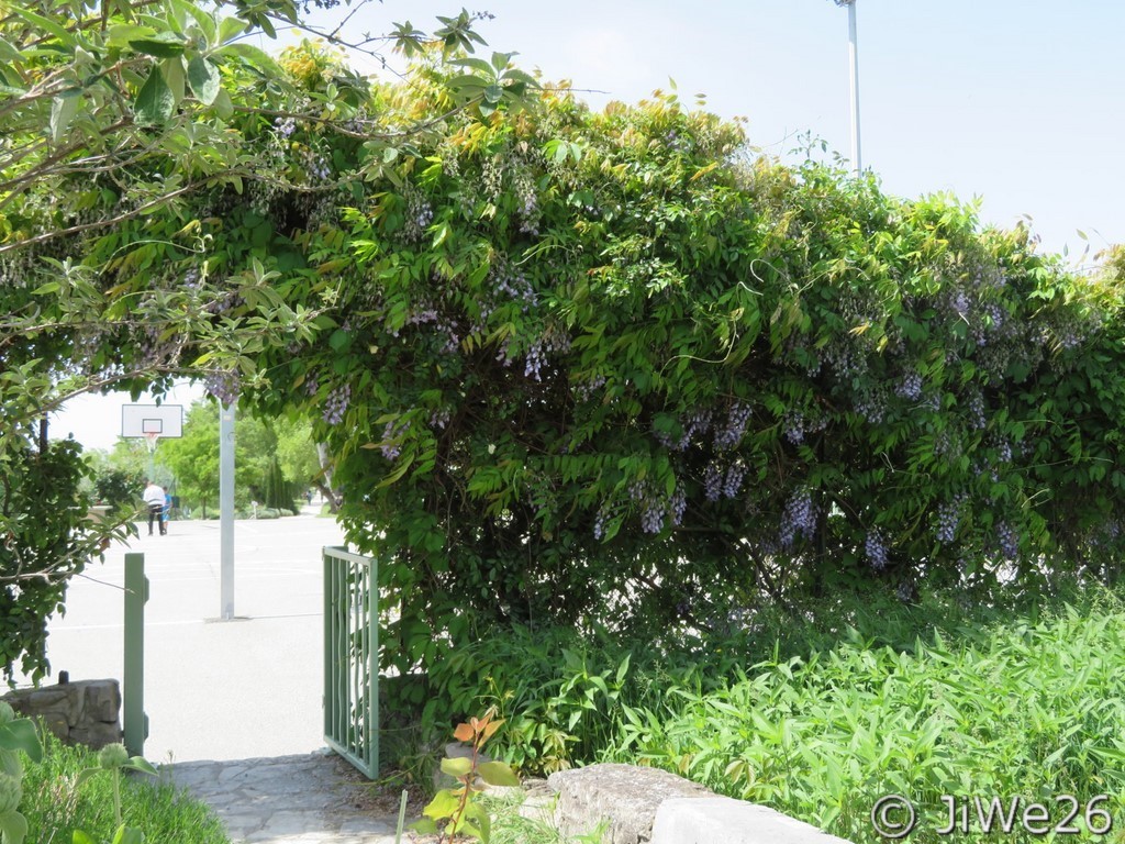 Le Jardin des Arômes à Nyons