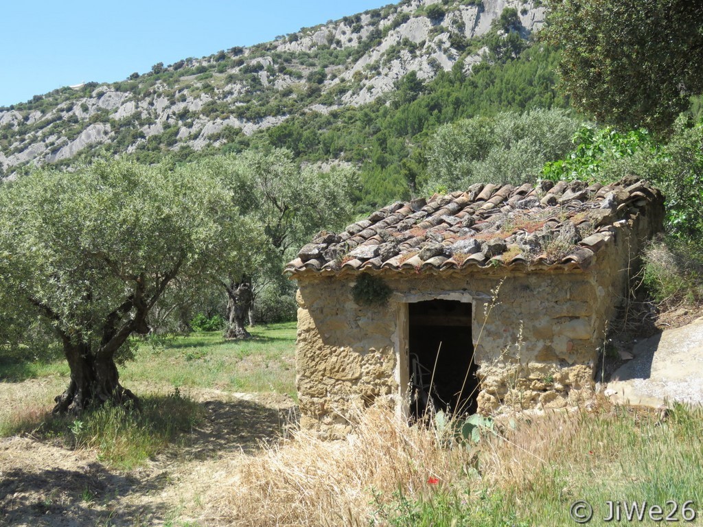 Joli cabanon dans les vignes