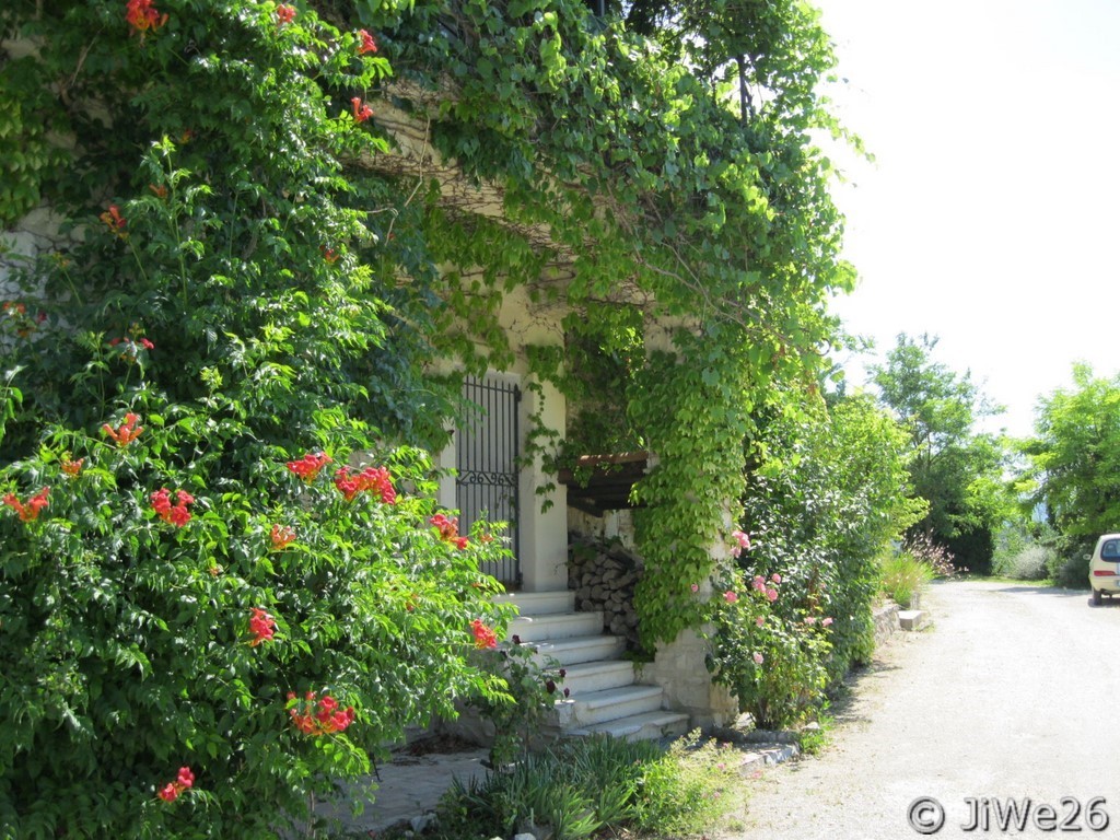 Une entrée joliment agrémentée de fleurs et de verdure