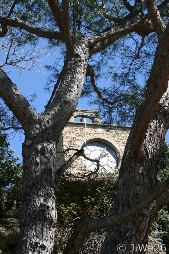 L'horloge de la tour à travers les arbres