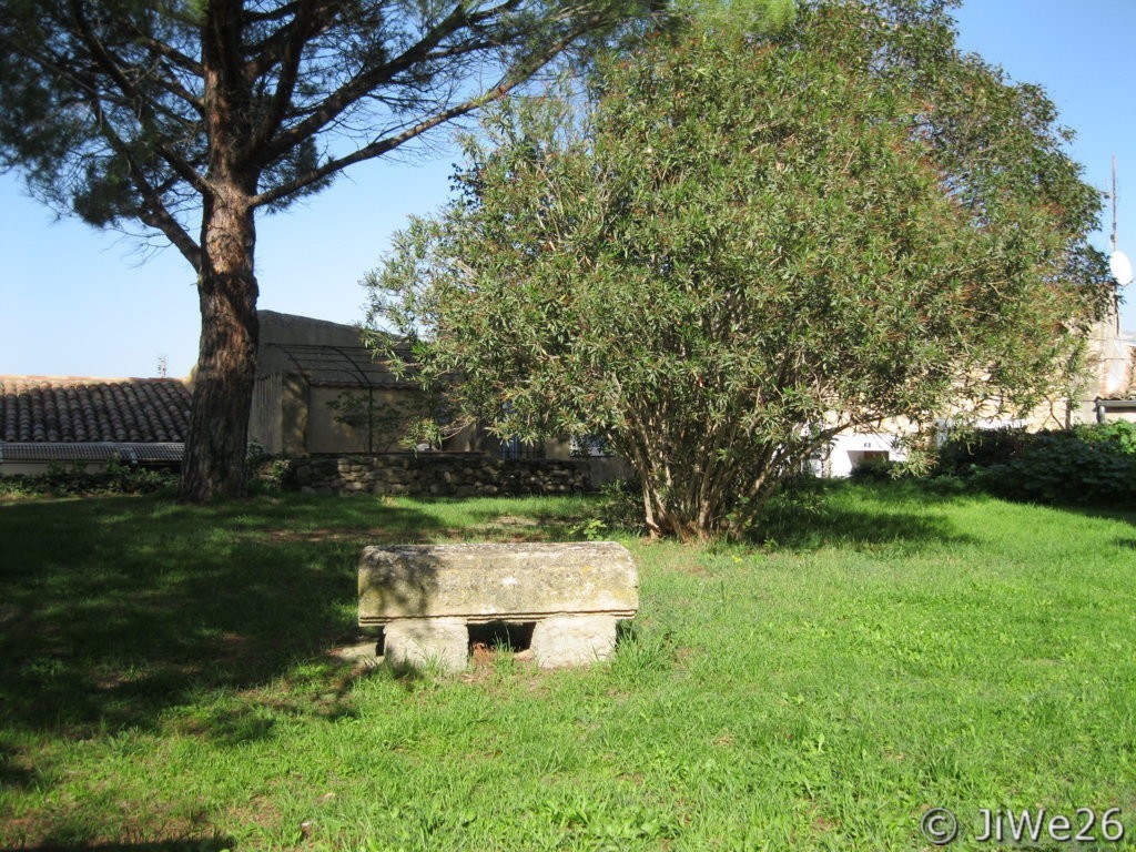 Une vue du jardin