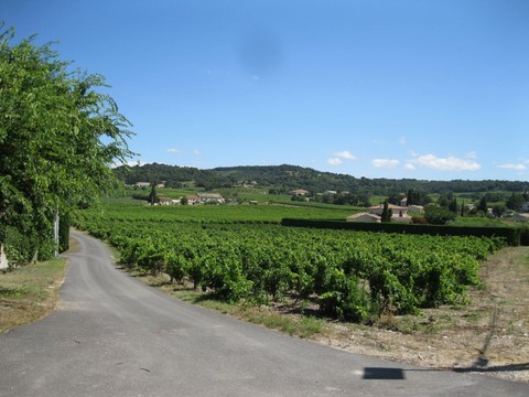 Cairanne est entouré de fabuleux vignobles