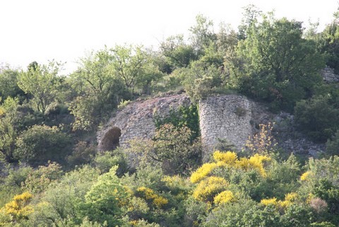 Les ruines du Vieux Château ( XIIIe siècle)