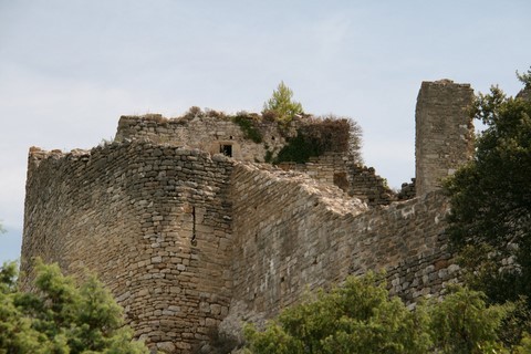 Vue sur les ruines du château