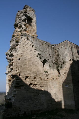 Les ruines de la chapelle castrale
