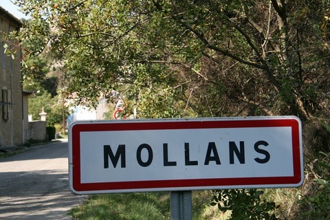 Bienvenue au village de Mollans-sur-Ouvèze, village fortifié situé à l’extrême Sud du département de la Drôme, surnommé "Porte des Baronnies" 