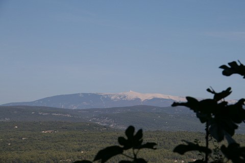 Dans le lointain on aperçoit le mont Ventoux, photo prise depuis Ménerbes