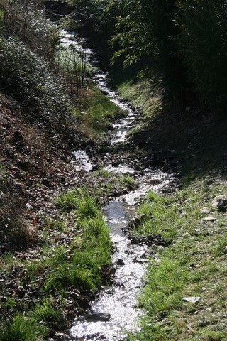 J'ai apprécié le gazouillis tranquille de ce petit ruisseau