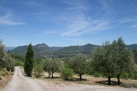 Panorama depuis la chapelle N-D du Beaulieu au milieu des oliviers