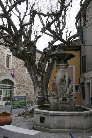 Place des Pas Perdus, la fontaine des Dauphins et le platane du roi de Rome planté en 1811