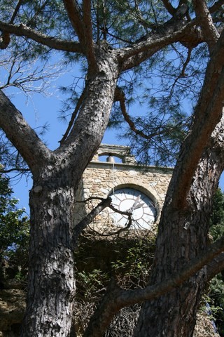 L'horloge de la tour à travers les arbres