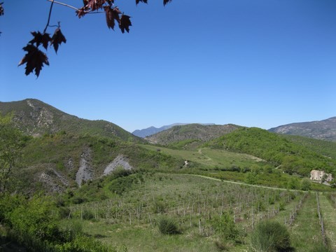 Panorama depuis Rochebrune