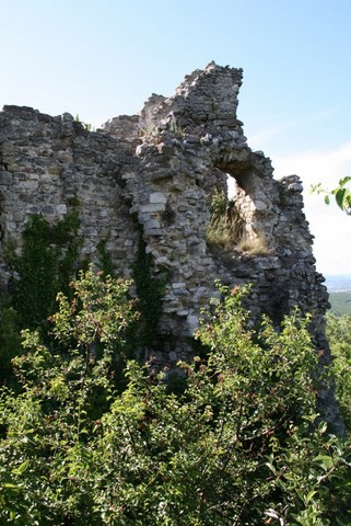Les ruines subsistent au milieu de la verdure