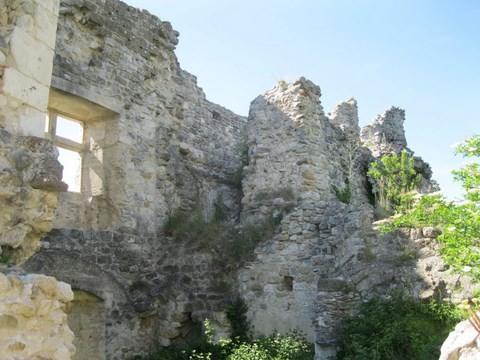 Les ruines ont été rachetées par la mairie en 1985, depuis, l'association locale ACROCH tente de restaurer le site.