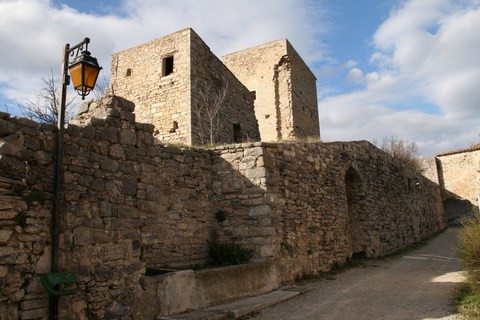 Vestiges des fortifications du château